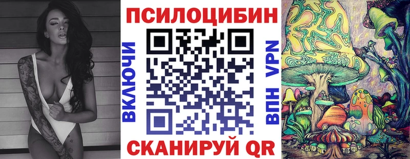 Купить где  Нефтекамск  Псилоцибиновые грибы Psilocybe 